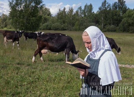 читать подробней