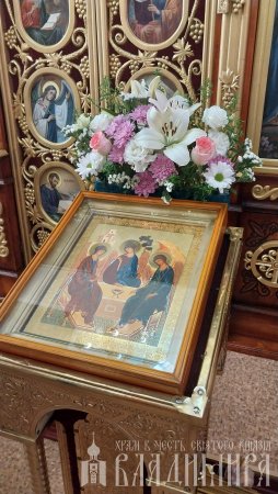 читать подробней