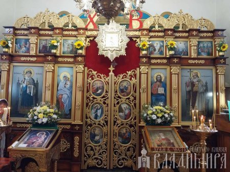 читать подробней