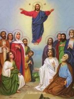 читать подробней