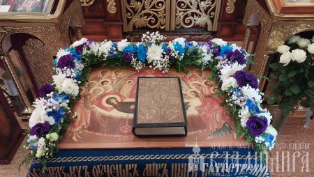 читать подробней